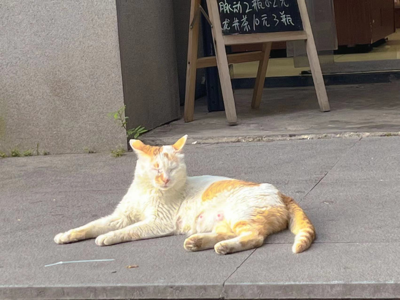 oem 부가서비스 image